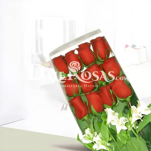 Caja de 12 Rosas Rojas