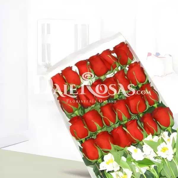 Caja de 24 Rosas Rojas