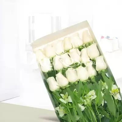 Caja de 18 Rosas Blancas